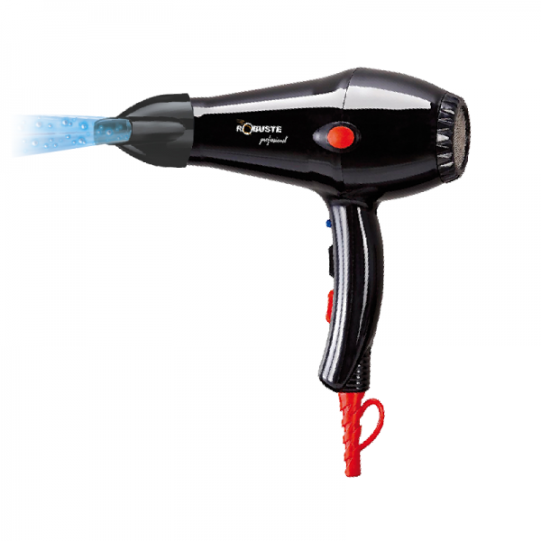 Sèche cheveux professionnel Pro 2000