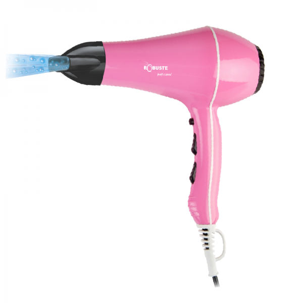 Sèche cheveux professionnel Pro 2000